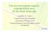 The ten most popular tropical- subtropical fruit trees for ... · PDF fileThe ten most popular tropical-subtropical fruit trees ... (see fact sheet HS202). ... leach fertilizer into