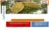 COPAL COCOA Info - Alliance of Cocoa Producing …. 478.doc · Web viewCOPAL COCOA Info A Weekly Newsletter of Cocoa Producers' Alliance Health and Nutrition The Light and Dark side