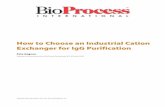 How to Choose an Industrial Cation Exchanger for IgG ... · PDF filecharacteristics. They include high ... diluent buffer through another. ... Plumb the sample injection valve with