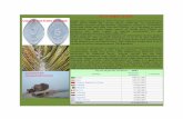 SUGARCAE - · PDF fileSUGARCAE Sugar cane originated in New Guinea where it has been known since about 6000 BC. ... Pakistan Sugar Annual Report 2010 Pakistan's MY 2010/11 sugar production
