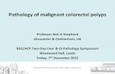 Pathology of malignant colorectal  · PDF filePathology of malignant colorectal polyps ... majority for this highly subjective ... research into difficult EM v Ca cases