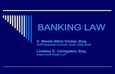 BANKING LAW - scbankers.org Law Presentation.pdf · BANKING LAW V. Nicole (Nici) Comer, Esq. SVP/Corporate Counsel, South State Bank Lindsey C. Livingston, Esq. Adams and Reese LLP