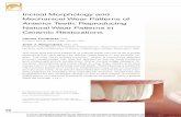 Incisal Morphology and Mechanical Wear Patterns of ... · PDF fileIncisal Morphology and Mechanical Wear Patterns of Anterior Teeth: ... incisal enamel, ... and age. 17–19