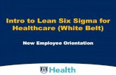Intro to Lean Six Sigma for Healthcare (White Belt) Six Sigma Healthcare Defined •A structured & methodical way of continuously exposing and solving problems to eliminate waste (Lean)