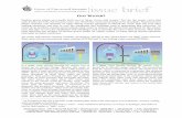 OT ATER - UCS: Independent Science, Practical Solutions · PDF fileground to deliver water to the main ... nuclear plant into a lake. The warm water ... systems have posed problems