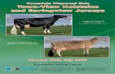 Complete Dispersal Sale Town-View Holsteins and · PDF fileComplete Dispersal Sale Town-View ... Satins (4 gens Ex), Cretonne, Ganook A’s and P’s Dolly, Carly ... 6-3 10693 378