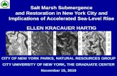 Salt Marsh Submergence and Restoration in New … Marsh Submergence and Restoration in New York City and Implications of Accelerated Sea-Level Rise ELLEN KRACAUER HARTIG. Idlewild