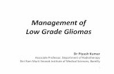 Management of Low Grade Gliomas - aroi.orgaroi.org/ICRO_PDF/19th ICRO Bareilly/13. Dr. Piyush Kumar.pdf · Management of Low Grade Gliomas Dr PiyushKumar ... • To cover the clinical