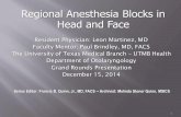 Regional Anesthesia Blocks in Head and · PDF fileRegional Anesthesia Blocks in Head and Face Resident Physician: Leon Martinez, MD Faculty Mentor: Paul Brindley, MD, FACS The University