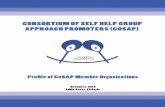 CONSORTIUM OF SELF HELP GROUP APPROACH PROMOTORS (CoSAP) II · PDF fileCONSORTIUM OF SELF HELP GROUP APPROACH PROMOTORS (CoSAP) ... (EFDA) ... Aman Wabe (Mr.), Executive Director