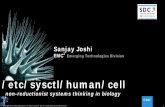 etc/sysctl/human/cell ;non-reductionist systems … ~40 . genes per cell (500x smaller) Static: Constancy, Energy functions Semantics: single origin Consistent: Yes (static, exp.