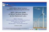 NDT, CM, SHM of wind turbine blades,final.pptwind.nrel.gov/.../5.2.Rumsey.NDT_CM_SHM_of_Wind_Turbine_Blades.pdfMicrosoft PowerPoint - NDT, CM, SHM of wind turbine blades,final.ppt