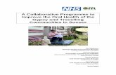 A Collaborative Programme to Improve the Oral Health of ... · PDF fileA Collaborative Programme to Improve the Oral Health of the Gypsy and Travelling Communities in Sussex Photo