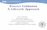 Process Validation A Lifecycle Approach - Variation.comvariation.com/files/fda/UCM255585 Presentation - Process Validation... · Process Validation A Lifecycle Approach ... apply