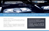EAU Section of Oncological Urology (ESOU) - Uroweburoweb.org/wp-content/uploads/ESOU_Brochure_01.pdf · The EAU Section of Oncological Urology (ESOU) ... Bob Djavan, Vienna (AT) Axel