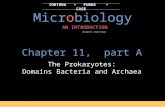 PowerPoint Presentationfaculty.sdmiramar.edu/dtrubovitz/micro/lect… · PPT file · Web view · 2017-02-28Chapter 11, part A The Prokaryotes: Domains Bacteria and Archaea The Prokaryotes: