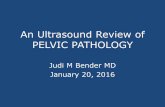 An Ultrasound Review of PELVIC PATHOLOGYmichigansonographerssociety.org/wp-content/uploads/2016/01/An... · Echogenic nodule. Subendometrial cysts ... Acute hemorrhagic cyst Echogenic
