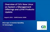 on System z Management Offerings and z/VM Products · PDF fileon System z Management Offerings and z/VM Products Update August 9, ... CA7, CA1,OPS/MVS, SYSVIEW ... Documentation access