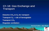 Ch 18: Gas Exchange and Transport - Las Positas Collegelpc1.clpccd.cc.ca.us/lpc/jgallagher/Physio/Chapter 18 Gas Exchange... · Ch 18: Gas Exchange and Transport Dissolve CO 2 & O