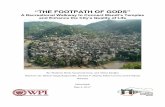 “THE FOOTPATH OF GODS” - Worcester Polytechnic · PDF file“THE FOOTPATH OF GODS” ... Interview Questions with Jr. Engineer of the Municipal Council ... Interview Deputy Superintendent