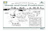 Sheep and Goat Production - Iowa Sheep Industry …iowasheep.com/uploads/3/3/4/8/3348193/sheep_goat_production.pdf · sheep and goat production ... guardian dog donkey llama night