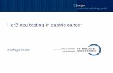 Her2-neu testing in gastric cancer - · PDF fileanalysis of signals with ... Scanall of the tumor tissue on the slide for focal amplification or ... Discuss and share your Her2 cases