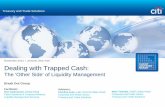 Dealing with Trapped Cash - Citibank - Banking with   with Trapped Cash: ... commercial and financial. ... Invoice Invoice $ Invoice $ Goods Restricted Market 3rd Party Supplier