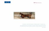 Protect and Provide Livelihoods in Lebanon - Mercy Corps Mercy Corps... · Protect and Provide Livelihoods in Lebanon: ... SMALL RUMINANT DAIRY VALUE CHAIN ... The report also includes
