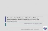 Guidelines for the Review of Spectrum Pricing ... · PDF fileGuidelines for the Review of Spectrum Pricing Methodologies and the preparation ... advantages and disadvantages ... preparation