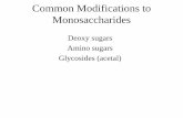 Deoxy sugars Amino sugars Glycosides (acetal)cms.cerritos.edu/uploads/lwaldman/212Lecture/Notes/212LecNotes32...Glycosides •Glycoside bond: the bond from the anomeric carbon of the