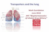 Mark Gumbleton June 2010 APS Biopharmaceutics of … - Mark Gumbleton.pdf · APS Biopharmaceutics of inhaled drug delivery ... ABCC1 MRP1 ABCC2 MRP2 ABCC3 MRP3 ABCC4 MRP4 ... •No