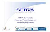 SERVA BluePrepPrep Kits Kits Protein Protein andand ... · PDF fileSERVA BluePrepPrep Kits Kits Protein Protein andand Protein/Protein/NucleicNucleic acidacid Isolation Isolation andand