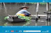 Gender in Myanmar’s small-scale aquaculture sectorpubs.iclarm.net/resource_centre/FISH-2017-12.pdf · Gender in Myanmar’s small-scale aquaculture sector. 2 Authors Lemlem Aregu,