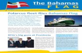 THE NEWSLETTER OF THE BAHAMAS MARITIME AUTHORITY SEPTEMBER ... · PDF fileTHE NEWSLETTER OF THE BAHAMAS MARITIME AUTHORITY SEPTEMBER 2010 • ISSUE NO. 25 ... Representatives from