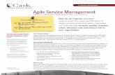 Agile Service Management - · PDF fileAgile Service Management ... (ITSM) principles. ... These approaches may take years to fully appreciate measurable results and reach an ROI. Cask’s