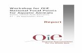 Workshop for OIE National Focal Points for Aquatic · PDF fileWorkshop for OIE National Focal Points for Aquatic Animals Samaya Hotel , Dubai, ... 12:45–14:00 Lunch . ... WORKSHOP