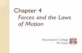 Forces and the Laws of Motion - doboshphysics.weebly.comdoboshphysics.weebly.com/uploads/5/3/4/3/53438245/ay2015_ch_4... · Section 1: Changes in Motion Force Force Diagrams Section