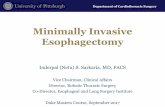 Minimally Invasive Esophagectomy - Duke Universityweb.duke.edu/surgery/2017ThoracicMasters/session6/minimally... · RAMIE RA-GPEH/Nissen Other Robotic Assisted Esophageal Trends Over