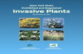 DEC Prohibited and Regulated Invasive Plants DEPARTMENT OF ENVIRONMENTAL CONSERVATION New York State Prohibited and Regulated Invasive Plants September 10, 2014 NYS DEPARTMENT OF AGRICULTURE