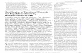 Identification of Functional Elements and Regulatory ...science.sciencemag.org/content/sci/330/6012/1787.full.pdf · The modENCODE Consortium,* Sushmita Roy,1,2† Jason Ernst,1,2†