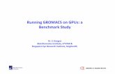 Running GROMACS on GPUs: a Benchmark Study GPU symposium-22th-Jan... · Running GROMACS on GPUs: a Benchmark Study Dr. LI Jianguo Bioinformatics Institute, A*STAR & Singapore Eye