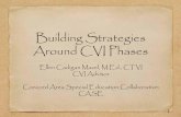 Building Strategies Around CVI Phases - Perkins School · PDF fileBuilding Strategies Around CVI Phases Ellen Cadigan Mazel, M.Ed., CTVI CVI Advisor ... different colors 55 55 . Lateral