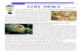 Caribbean Coral Reef Institute CCRI NEWS - CCRI …ccri.uprm.edu/news/CCRI_News_2007_02.pdfWith CCRI support, David Mann (Univ. South Florida) and colleagues are developing acoustic