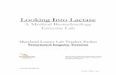Looking Into Lactase - Towson University · PDF fileTeaching Scientific Inquiry: ... The Looking Into Lactase lab has two parts: ... lactose intolerance and enzyme function