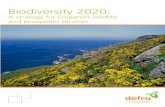 Y K Biodiversity 2020 - gov.uk · PDF fileout the strategic direction for biodiversity policy for the next decade on land (including rivers and lakes)5 and at sea. It builds on the