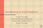 Introduction to Fetal Medicine - Alpert Medical Schoolmed.brown.edu/pedisurg/Fetal/Seminar/Slides/Cardiology.pdf · Introduction to Fetal Medicine Lloyd R. Feit M.D. ... peripheral