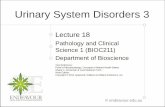 Urinary System Disorders 3 · PDF filenephritis and polycystic kidney disease ... The lecture outline on Tubulo-interstitial disease, urinary tract calculi and tumours of the kidney