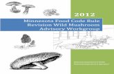 Minnesota Food Code Rule Revision Wild Mushroom … Food Code Rule...Minnesota Food Code Rule Revision Wild Mushroom Advisory Workgroup Report . Minnesota Department of Health . P.O.