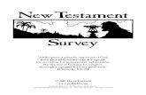 New Testament Survey - Online Christian Libraryntslibrary.com/PDF Books/New Testament Survey.pdf · New Testament Survey David Padfield 1 ... Suppose a young family is ... virgin