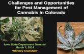 for Pest Management of Cannabis in Coloradowebdoc.agsci.colostate.edu/bspm/Cannabis IPM Iowa March 7.pdfChallenges and Opportunities for Pest Management of Cannabis in Colorado Iowa